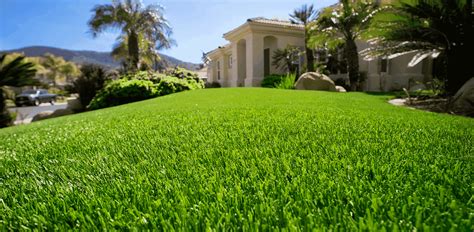 LV SYNTHETIC GRASS LLC